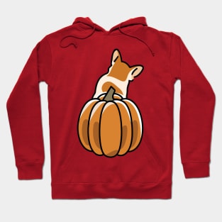 corgi butt pumpkin Hoodie